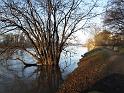 2011-01-17, Pillnitz (21)